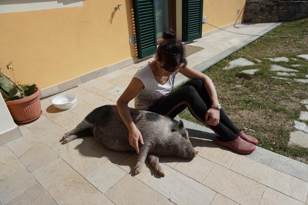 Agriturismo Lavalleggia Tovo San Giacomo المظهر الخارجي الصورة