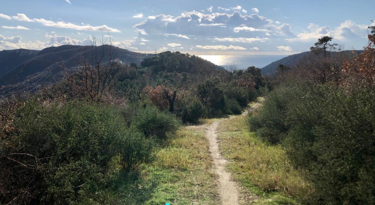 Agriturismo Lavalleggia Tovo San Giacomo المظهر الخارجي الصورة