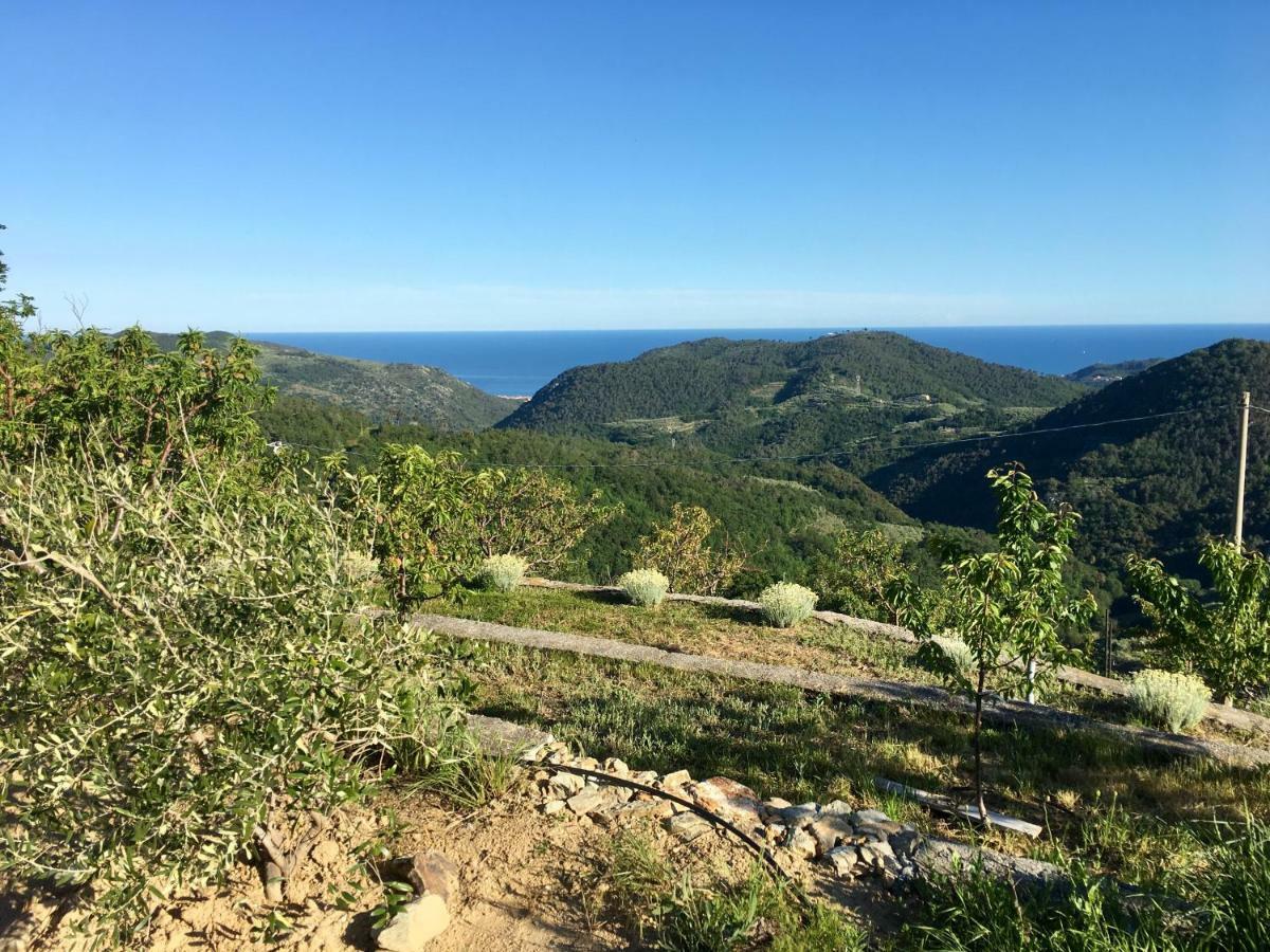 Agriturismo Lavalleggia Tovo San Giacomo المظهر الخارجي الصورة